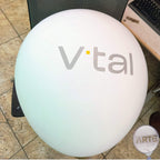 Balões Grandes Personalizados: 10 Un. Impressão Exclusiva