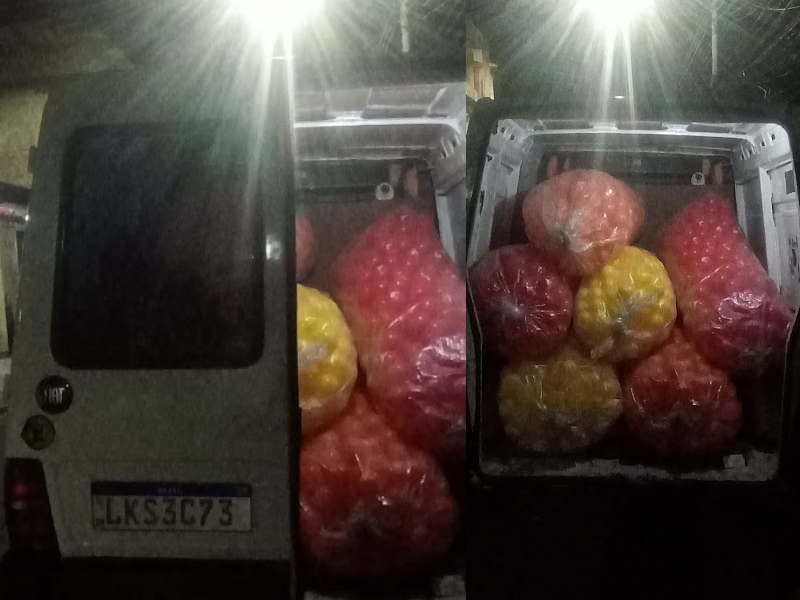 5000 Bolinhas de piscina personalizadas 76 mm